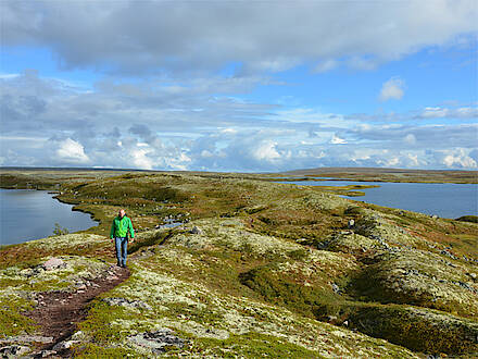 Wandern im schwedischen Kahlfjäll im Fulufjäll Nationalpark
