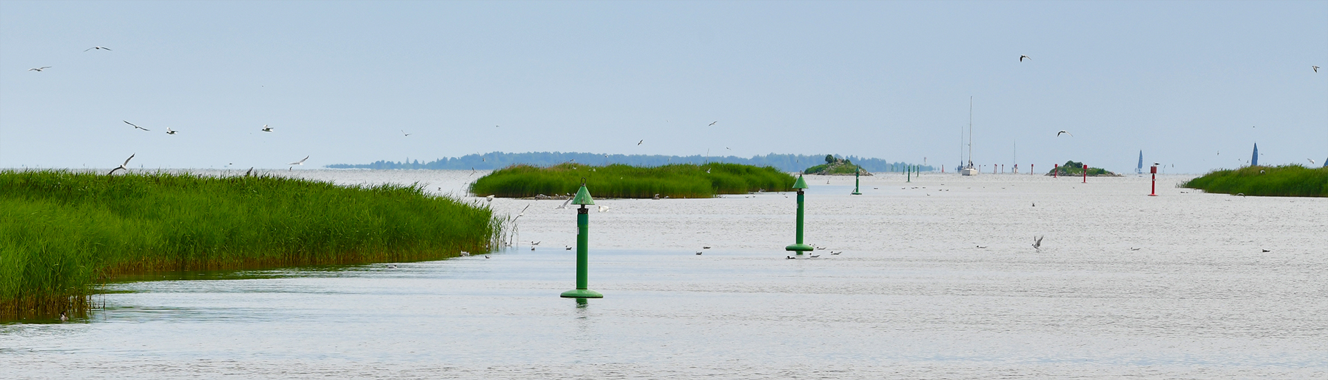 Baltische Küstenlandschaft: Die Insel Saaremaa in Estland