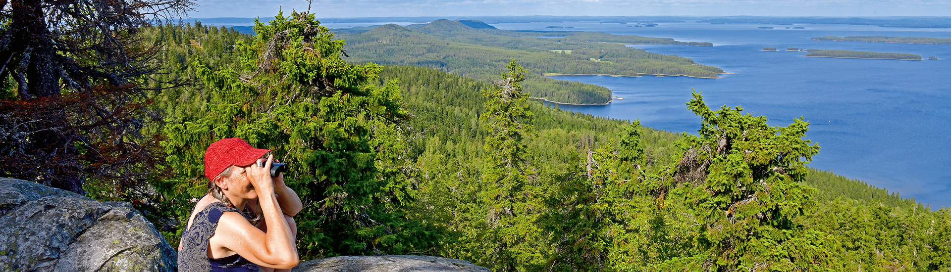 Aussichtspunkt im Koli Nationalpark in Finnland