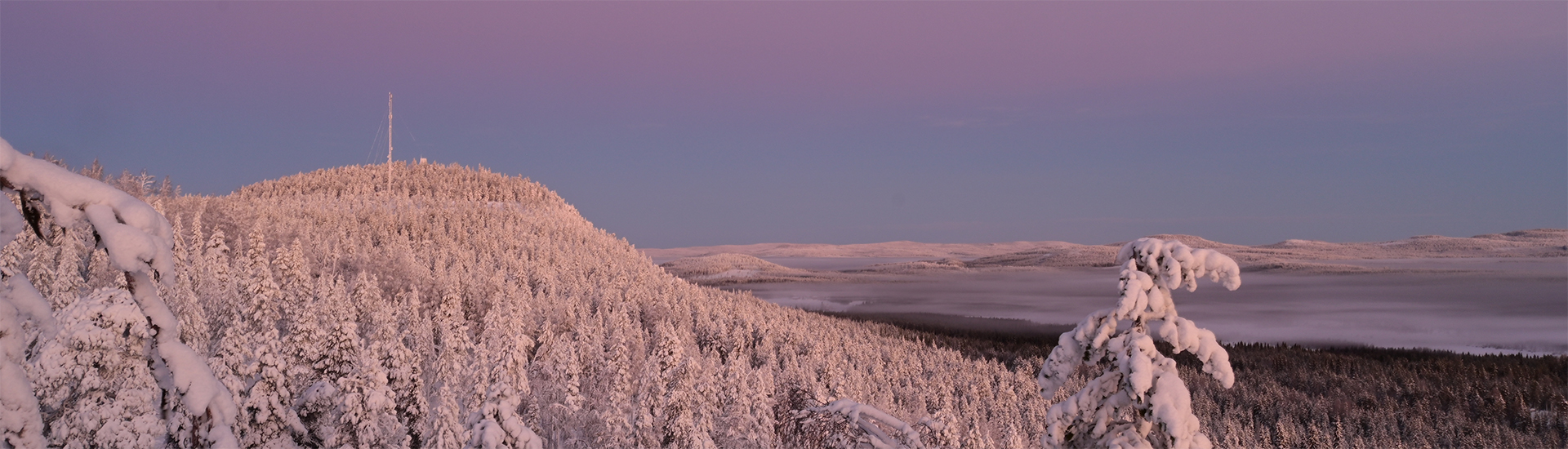 Winterlandschaft in Pastellfarben in Nordskandinavien