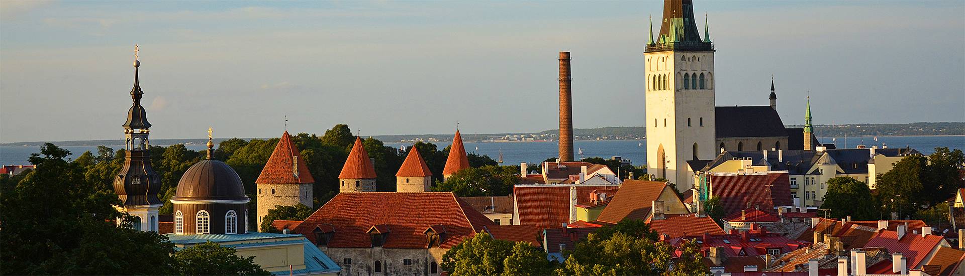 Blick über die Altstadt von Tallinn mit der Stadtmauer in Estland