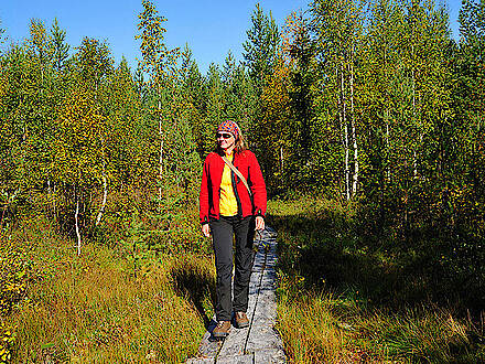 Wanderung im Moor in Lappland in Finnland