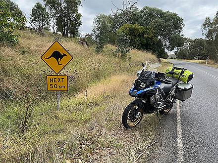 Achtung Wildwechsel: Motorradfahrer müssen sich in Australien vor Kängurus in Acht nehmen!
