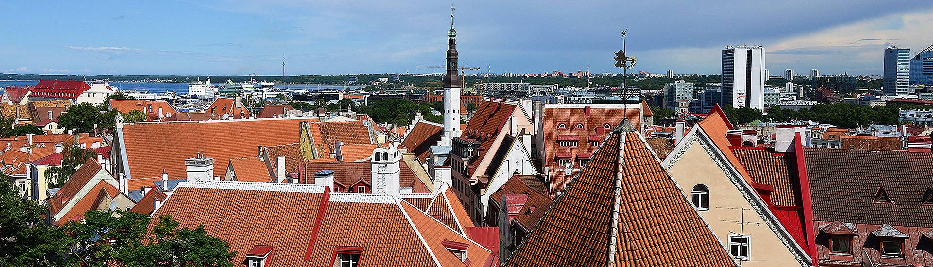 Blick über die Dächer von Tallinn in Estland