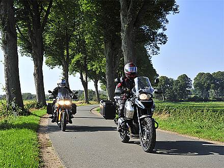 Alte Alleen zieren die Landschaften im Osten Schleswig-Holsteins und in Mecklenburg