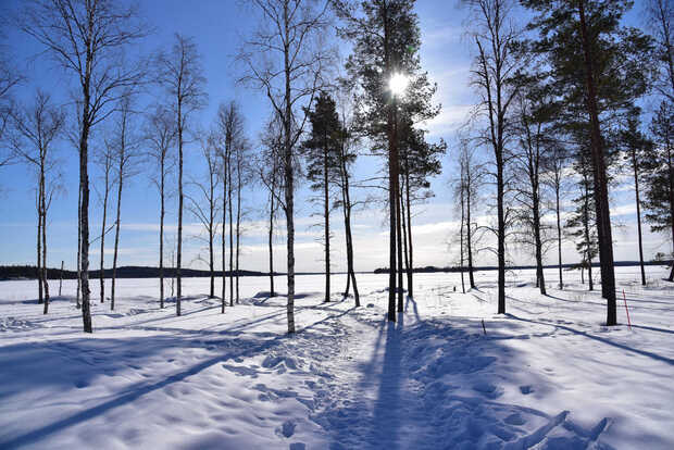 Winterstimmung in Finnland