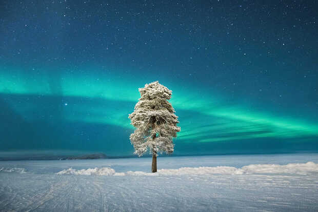 Polarlichter in Lappland