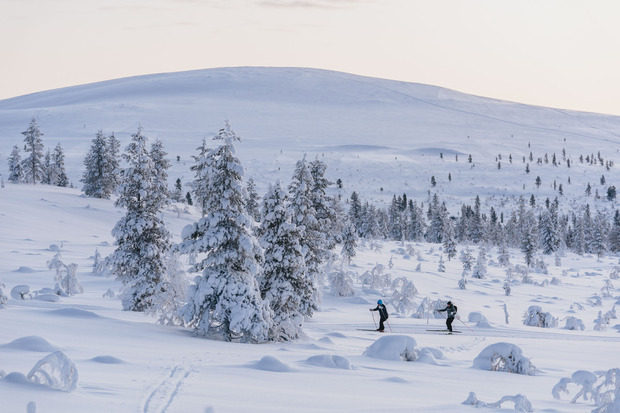 Langläufer laufen durch eine verschneite Landschaft in Lappland