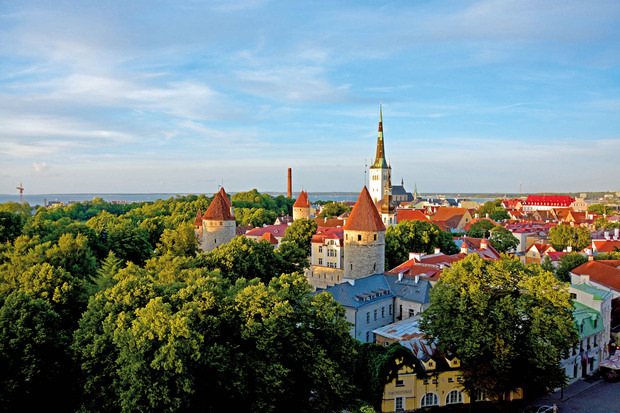 Blick über die Altstadt von Tallinn
