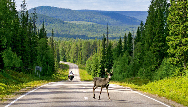 Mit dem Motorrad ins Reich der Rentiere